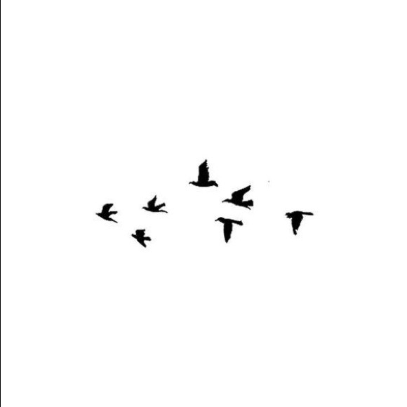 Meet your Posher, Avery - Picture 1 of 1